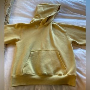 Aritzia hoodie